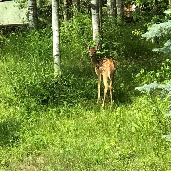 Meet Your Posher, Karri - Picture 11 of 17